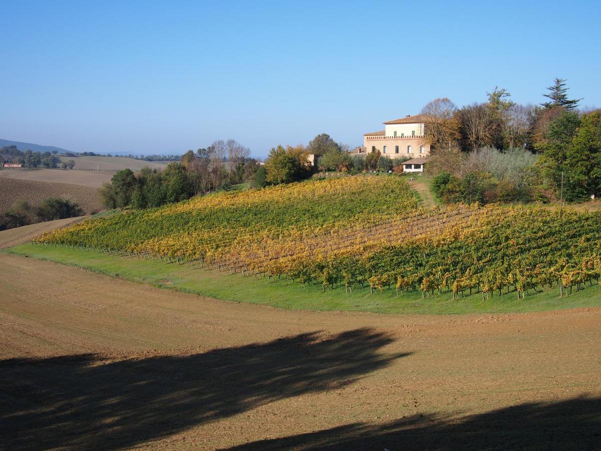 Agriturismo Poggiarellino - 蒙塔尔奇诺 外观 照片