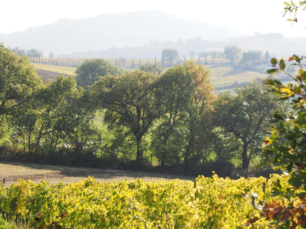 Agriturismo Poggiarellino - 蒙塔尔奇诺 外观 照片