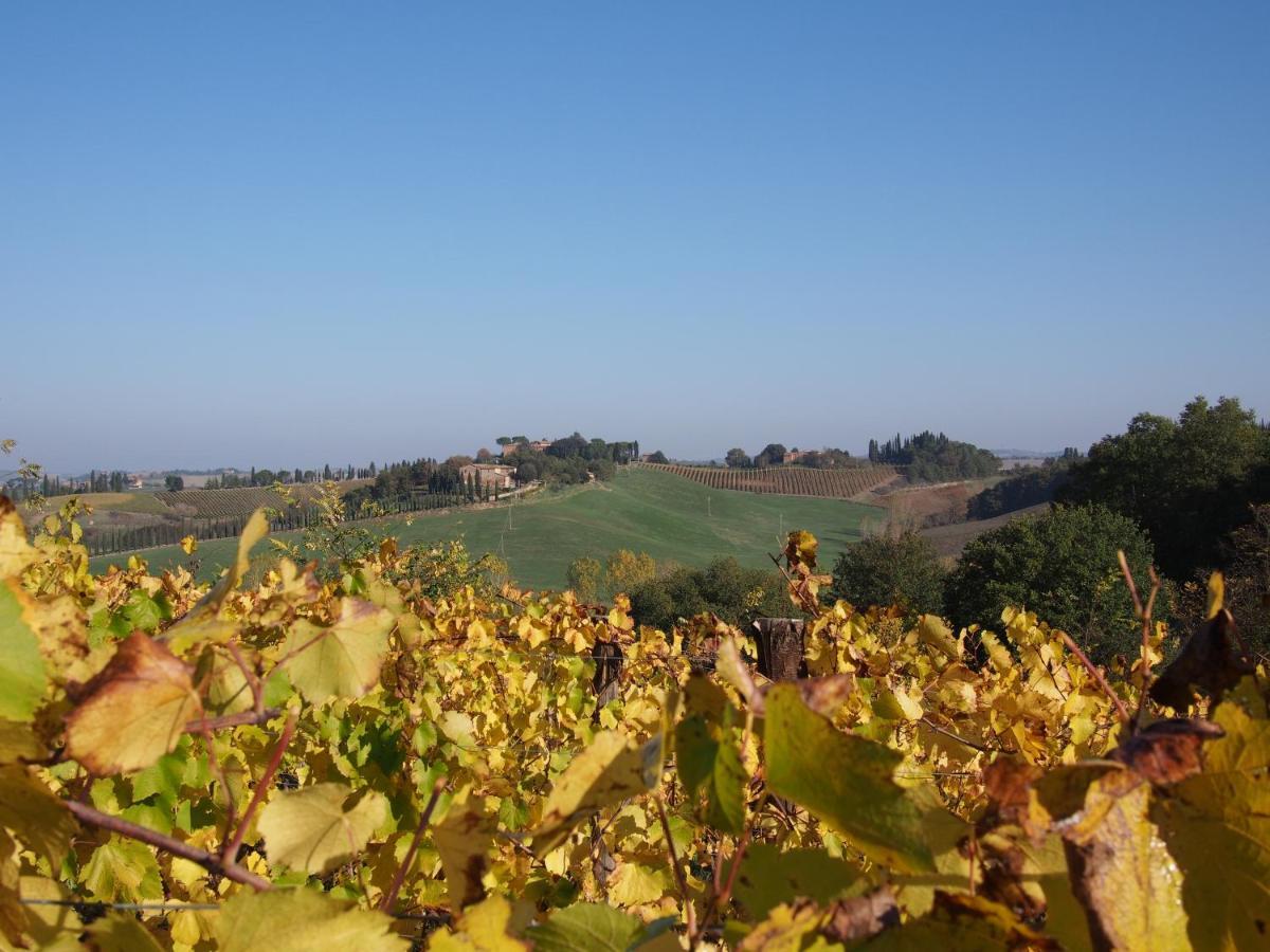 Agriturismo Poggiarellino - 蒙塔尔奇诺 外观 照片
