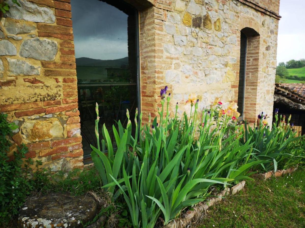 Agriturismo Poggiarellino - 蒙塔尔奇诺 外观 照片