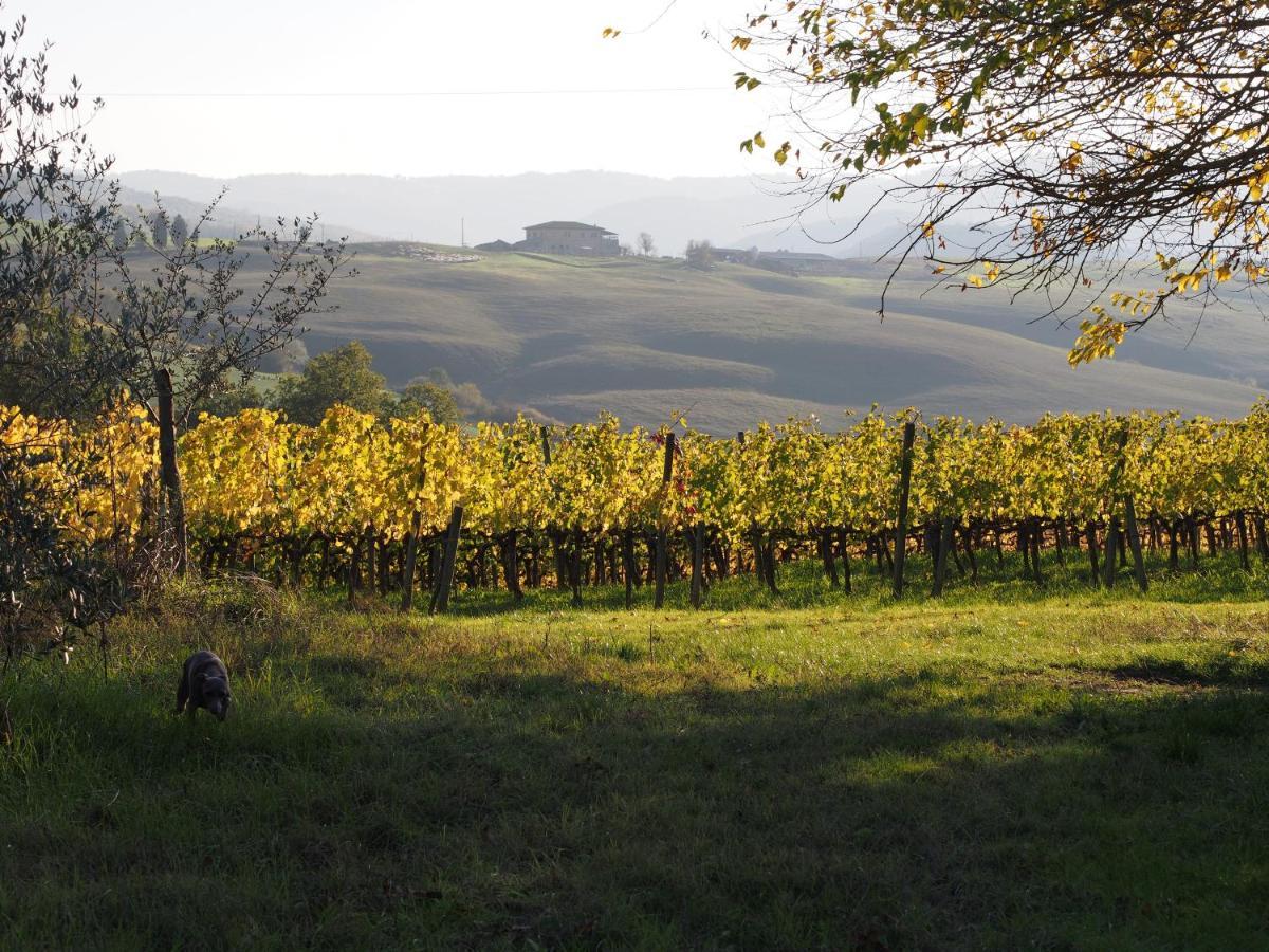 Agriturismo Poggiarellino - 蒙塔尔奇诺 外观 照片