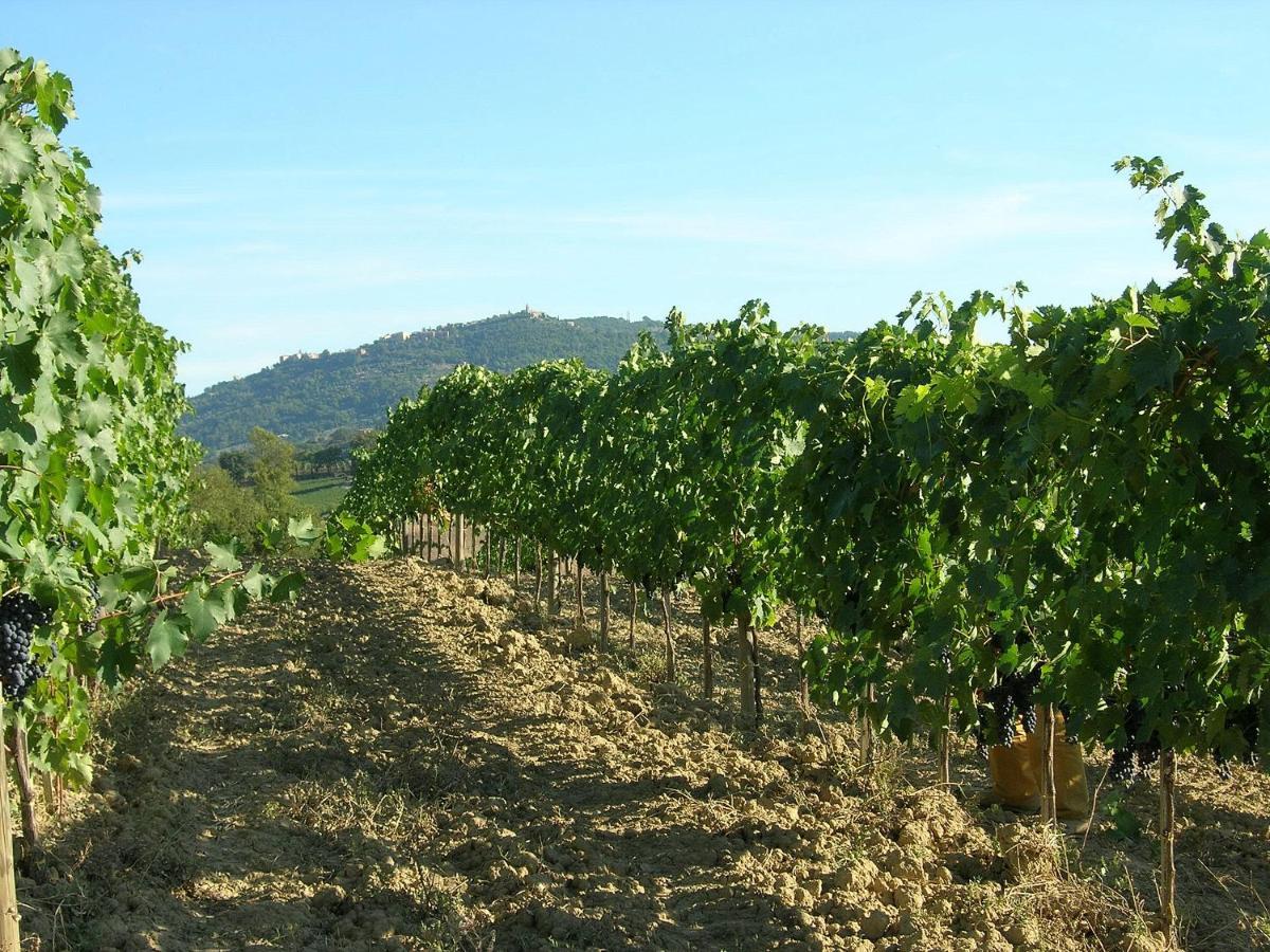 Agriturismo Poggiarellino - 蒙塔尔奇诺 外观 照片