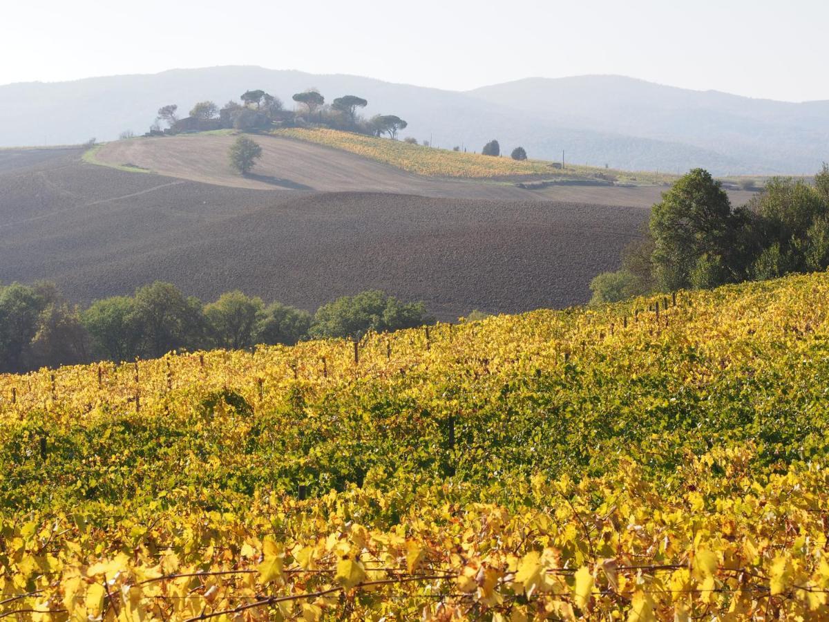 Agriturismo Poggiarellino - 蒙塔尔奇诺 外观 照片