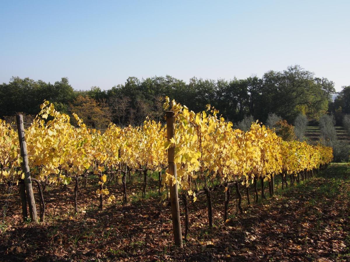 Agriturismo Poggiarellino - 蒙塔尔奇诺 外观 照片